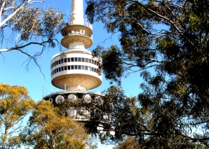 Telstra Tower at the top of Black Mountain, Canberra