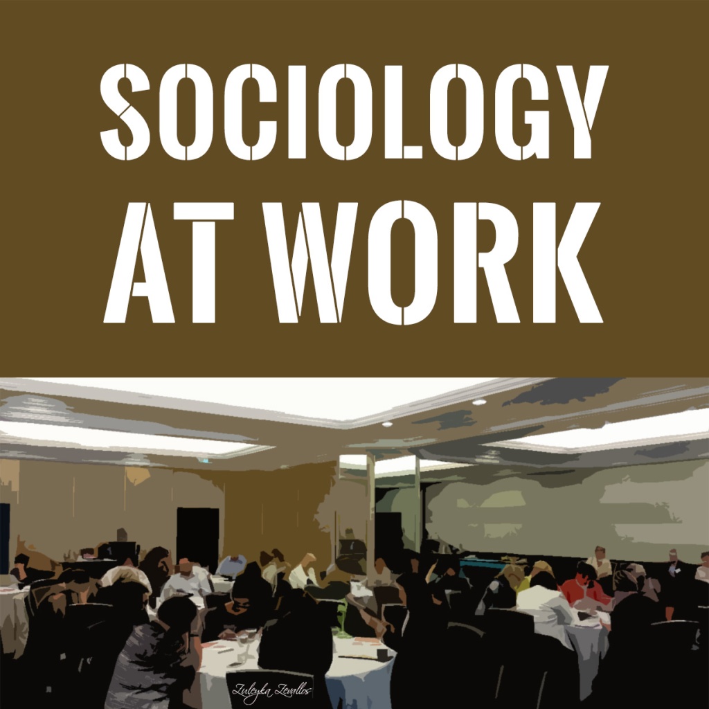 Interview Sociology At Work The Other Sociologist 