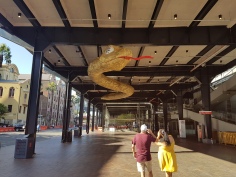 A woman and man are seen in the foreground from behind, shading their eyes as they lean back to take in the massive snake in the oveseas passanger terminal at The Rocks, Sydney. The snake's body is textured yellow, with a massive red tongue extended and the Chinese characters for "happiness" written across its eyes, to signify good fortune in the coming year